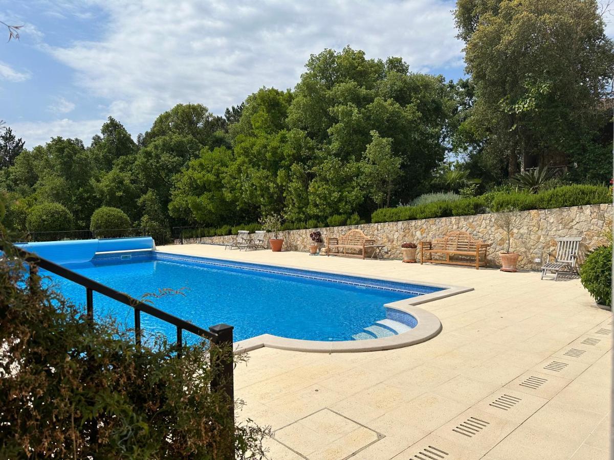 לינה וארוחת בוקר Salir de Matos Quinta Da Sobreira מראה חיצוני תמונה